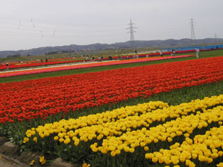 07.04.29gosen2.jpg