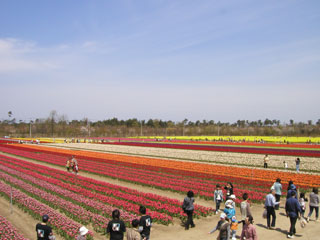 07.04.29tainai1.jpg