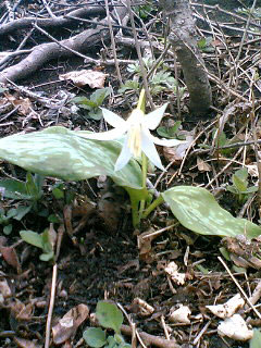 070403_~01.jpg