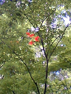 070723~01.JPG