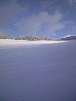 080129~01.jpg