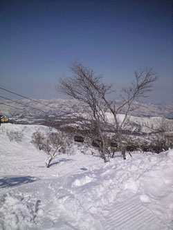 080225~01.jpg
