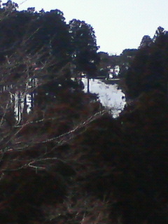 080305~01.jpg