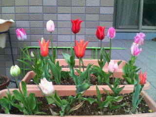2007.4.25.jpg