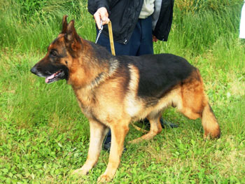 2007.5.28.jpg