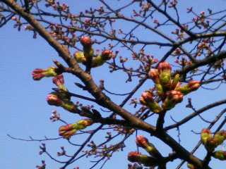 20070405.jpg