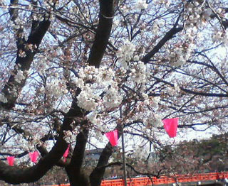 200704061.jpg