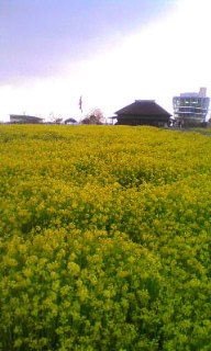 20070410.jpg