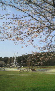 20070413.jpg