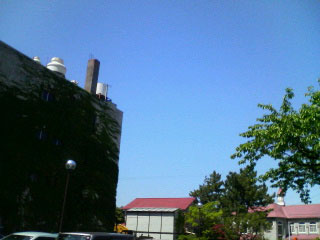 20070522_1.jpg
