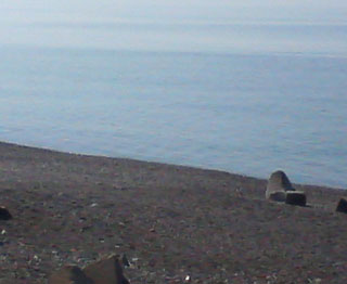 20070523_1.jpg