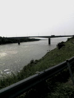 20070711.jpg