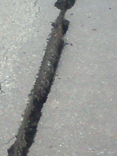 20070717~02.jpg