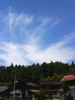 20070802~01.jpg