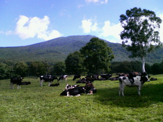 20070820~01.jpg