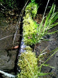 20070820~02.jpg