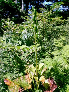 20070820~03.jpg