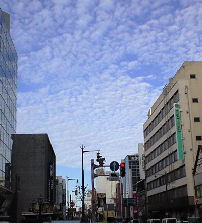 20071129-2.jpg
