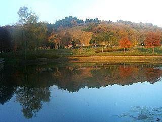 県立植物園1.jpg