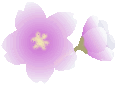 ico_sakura2.gif
